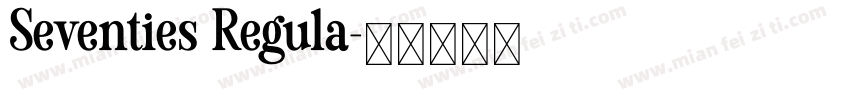 Seventies Regula字体转换